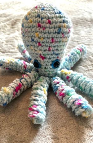 Octopus